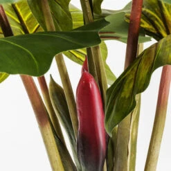 Deco Boom Regenwoud -Meubelverkoop bewerkt kare 60720 03