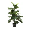 Deco Plant Vioolbladplant