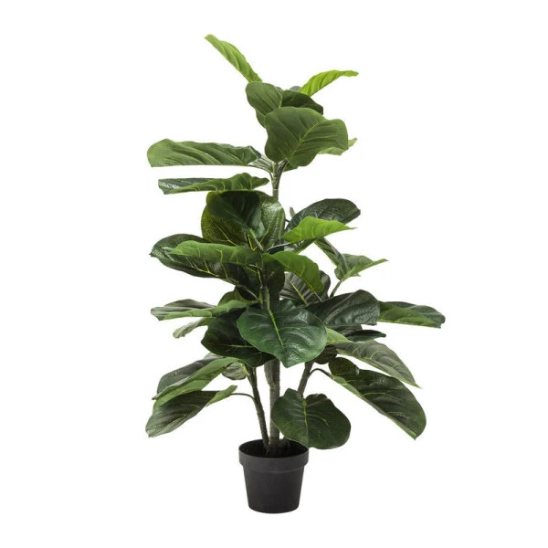 Deco Plant Vioolbladplant 3 Deco Plant Vioolbladplant