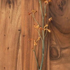 Eetkamerstoel Van Suar Hout -Meubelverkoop dtp home flare eetkamerstoel van suar hout 01