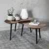 Organische Salontafel Set Teak -Meubelverkoop dtp home organus salontafelset teakhout 01