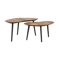 Organische Salontafel Set Teak 9 Organische Salontafel Set Teak -Meubelverkoop dtp home organus salontafelset teakhout 02