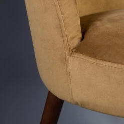 Ronde Eetkamerstoel Velours 18 Ronde Eetkamerstoel Velours -Meubelverkoop dutchbone barbara armloze stoel fluweel 07