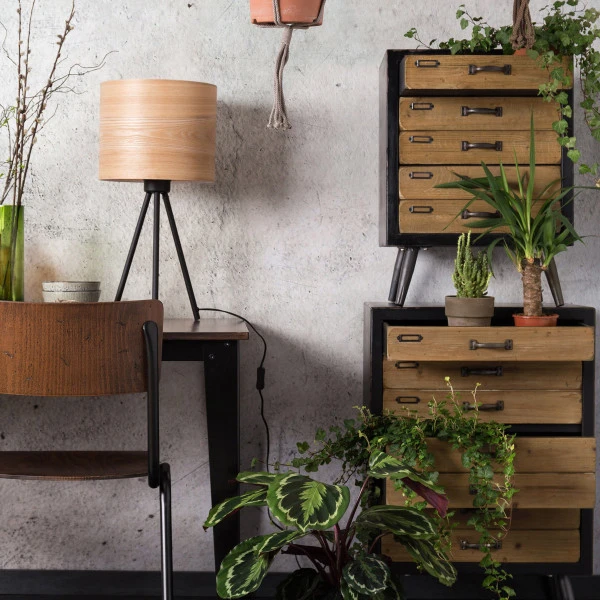 Halfhoge Ladekast 5 Halfhoge Ladekast - Afbeelding 3