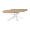 Ovale Tuintafel Teak Wit