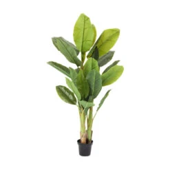 Kunst Bananenplant