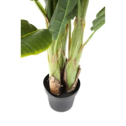 Kunst Bananenplant -Meubelverkoop kare design banana tree kunst bananenplant 04