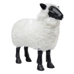 Decoratieve Schaap