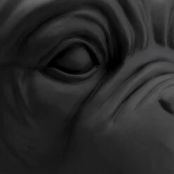 Bulldog Plantenbak Zwart -Meubelverkoop kare design bulldog black bulldog plantenbak zwart 01