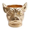 Bulldog Plantenbak Goud -Meubelverkoop kare design bulldog gold bulldog plantenbak goud 02