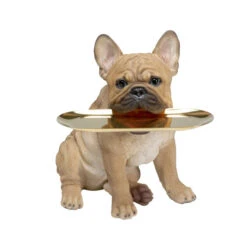 Franse Bulldog Met Dienblad