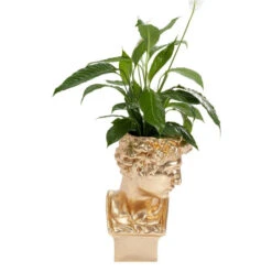 David Sculptuur Plantenbak -Meubelverkoop kare design david gold david sculptuur plantenbak 06