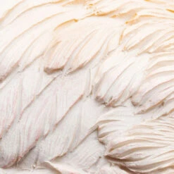 Flamingobeeld 17 Flamingobeeld -Meubelverkoop kare design flamingo road flamingobeeld 05