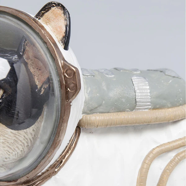 Ruimtevaarder Hond 7 Ruimtevaarder Hond - Afbeelding 5