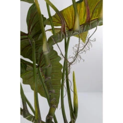 Grote Kunstplant 180-200 Cm -Meubelverkoop kare design taro 180 grote kunstplant 180 200 cm 05