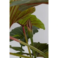 Grote Kunstplant 180-200 Cm -Meubelverkoop kare design taro 180 grote kunstplant 180 200 cm 08