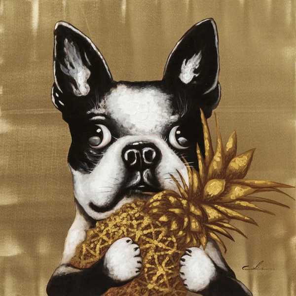 Afbeelding Van Hond Met Ananas 3 Afbeelding Van Hond Met Ananas