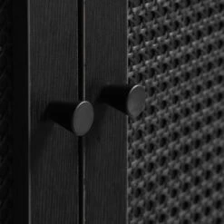 Zwarte Wandkast Met Rotan -Meubelverkoop zwarte wandkast met rotan bodio pose 06